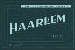 Haarlem Serif: A Bold Display Typeface for Web Design