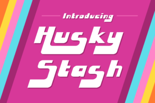 Husky Stash: A Retro Display Font for Web Design